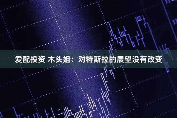爱配投资 木头姐：对特斯拉的展望没有改变