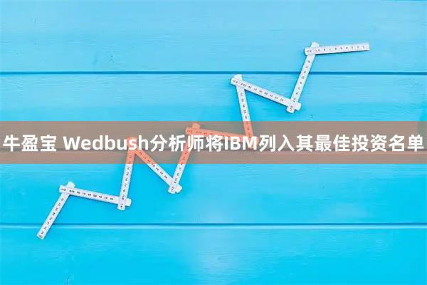 牛盈宝 Wedbush分析师将IBM列入其最佳投资名单