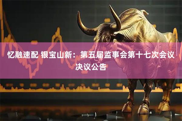 忆融速配 银宝山新：第五届监事会第十七次会议决议公告