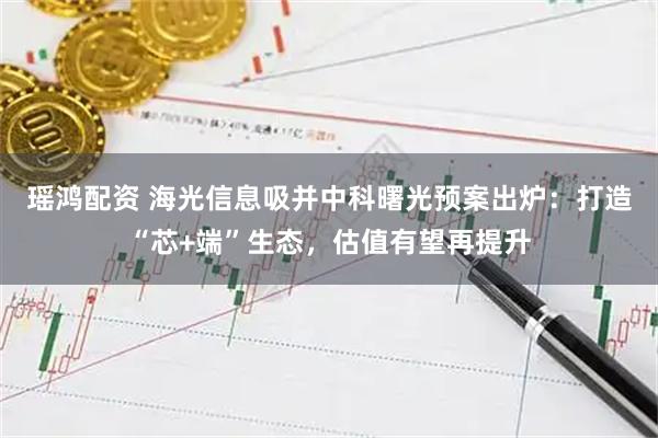 瑶鸿配资 海光信息吸并中科曙光预案出炉：打造“芯+端”生态，估值有望再提升