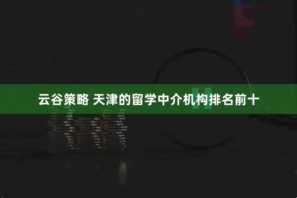 云谷策略 天津的留学中介机构排名前十