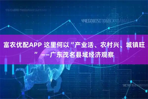 富农优配APP 这里何以“产业活、农村兴、城镇旺” ——广东茂名县域经济观察